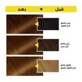 غارنييه أوليا، 5.3 بني ذهبي، صبغة دائمة للشعر مع ٦٠٪ زيت