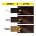 Olia, 6.15 Frozen Light Brown, No Ammonia Permanent Haircolor, with 60% Oils