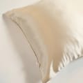 Aleena Single Silk Pillowcase - Cream