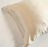 Aleena Single Silk Pillowcase - Cream