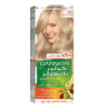Garnier Colr Ice Blonde 10.1