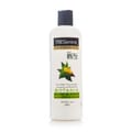 TRESEMME CONDITIONER BOTANIX DETOX 500ML