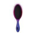 Wet Hair Brush Ombre Punch