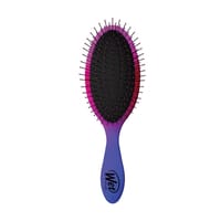 Wet Hair Brush Ombre Punch