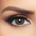 Layala Color Lens - Gray Royal