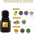 Ajmal Amber Wood Unisex Eau De Parfum 100ml