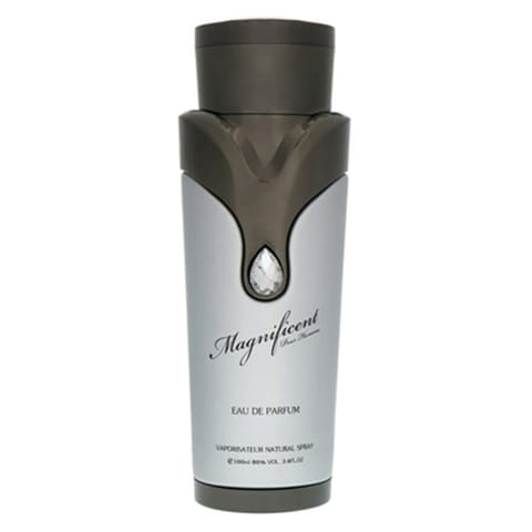 Armaf Magnificent Pour Homme For Men Eau De Parfum 100ml