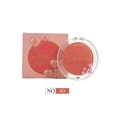 Christine Blusher Powder - 03