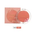 Christine Blusher Powder - 07