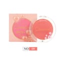 Christine Blusher Powder - 09