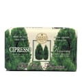 Nesti Dante Dei Colli Fiorentini Cypress Tree 250G