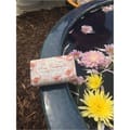 Nesti Dante Le Rose Campagna  150G