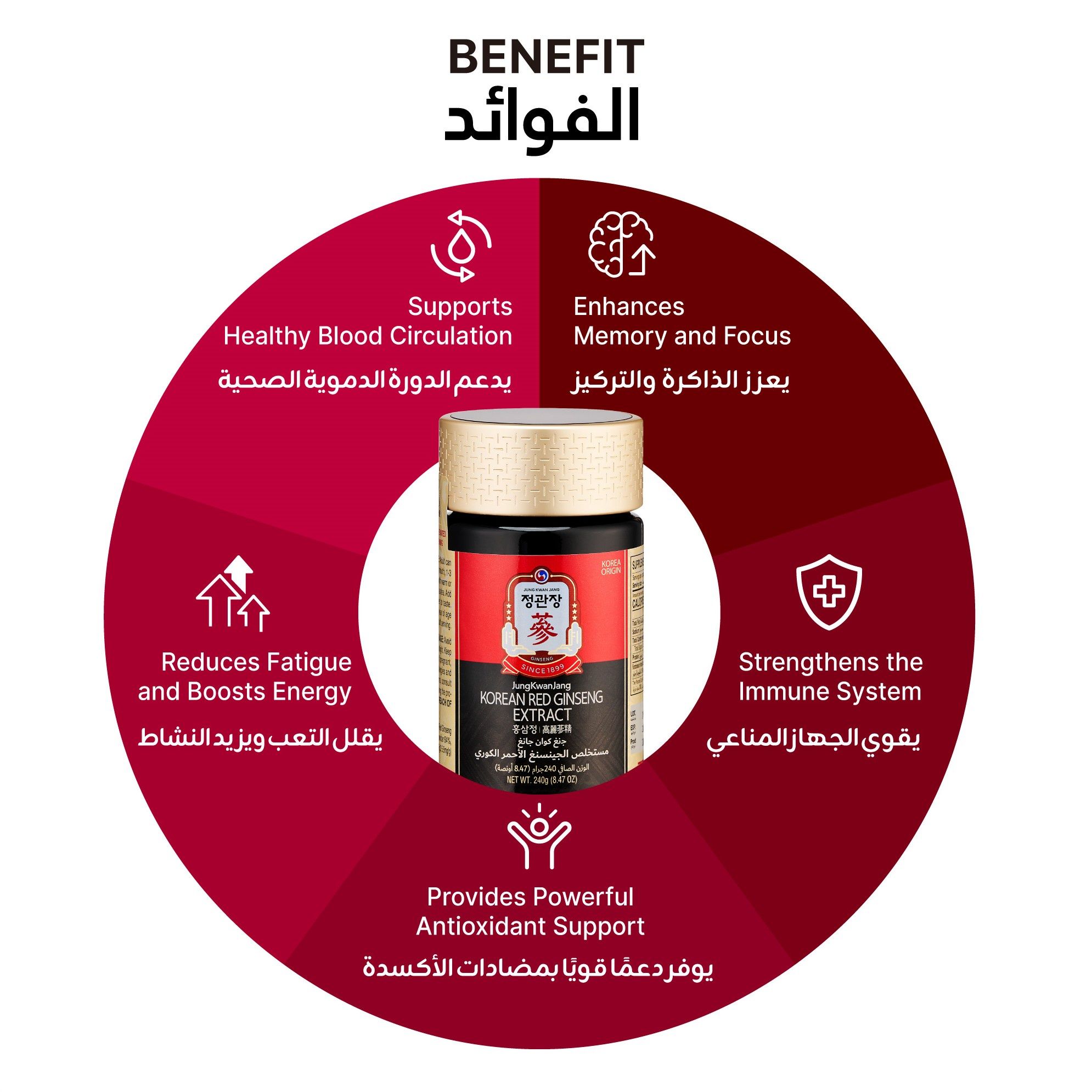 JKJ Korean Red Ginseng Extract 100G Jar