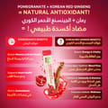 JKJ Gensing With Pomegranate 30Pouches