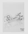 EVE Earrings Silver - S 1012 Ear Ring