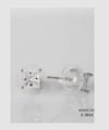 EVE Earrings Silver - S 1014 Ear Ring