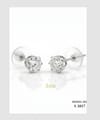 EVE Earrings Silver - S 1017 Ear Ring