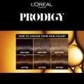 Prodigy Hair Color 6.0 Dark Blonde