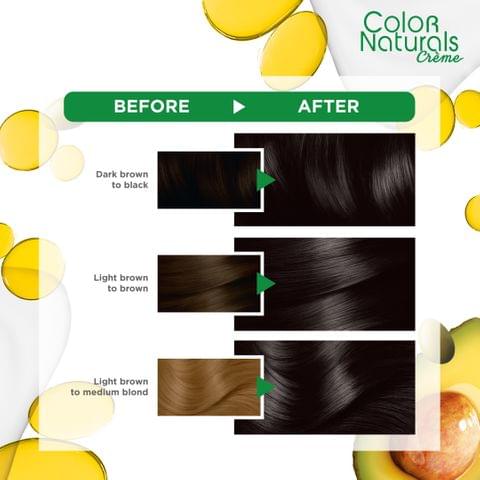 Herbal Hair Color Gel 1N Black