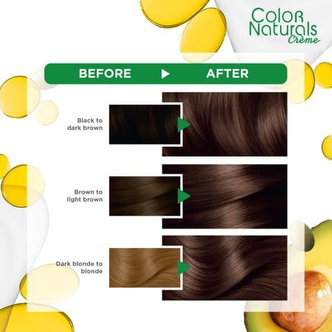 Olia, 4.0 Dark Brown, No Ammonia Permanent Haircolor, with 60% Oils