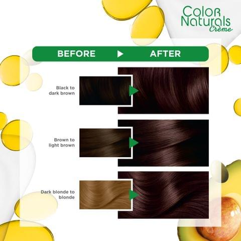 ARGAN  HAIR COLORING OIL KIT / BLACK 1.0